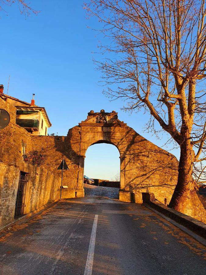 Casa Leonarda, Old Authentic Istrian Stone House Near Motovun, Central Istria Zamask Zewnętrze zdjęcie